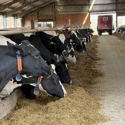 Bild vergr&ouml;&szlig;ern: 260324_Treffen_Landwirtschaft&Verwaltung(c)Stadt-Warburg (27)